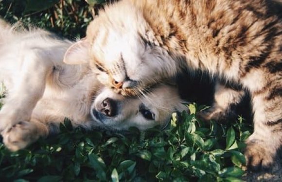 Love one another