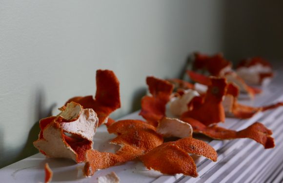 Dried orange peel scraps