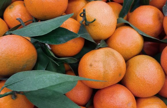 pile of oranges with leaves