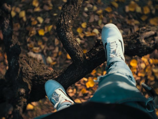 Standing on tree branch, looking down.