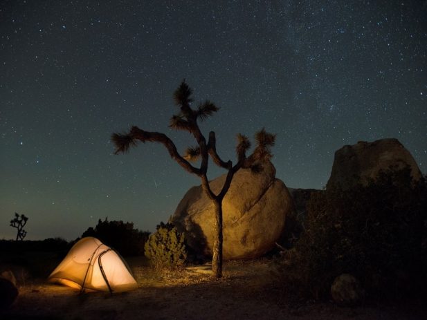 Tent by Joshua Tree in the night with stars