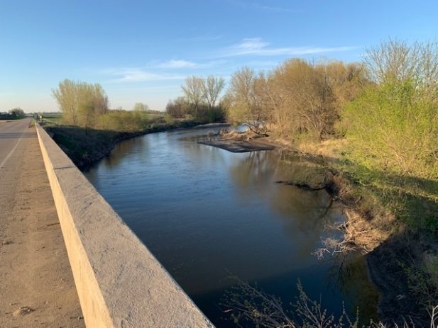 Peaceful River on a Sunny Day