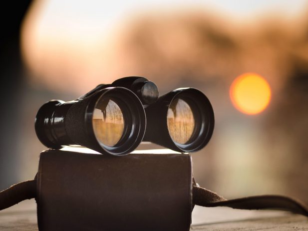 Binoculars sitting on their case