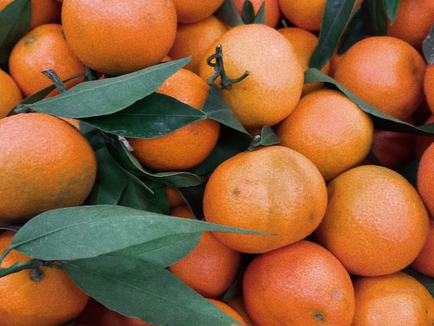 pile of oranges with leaves