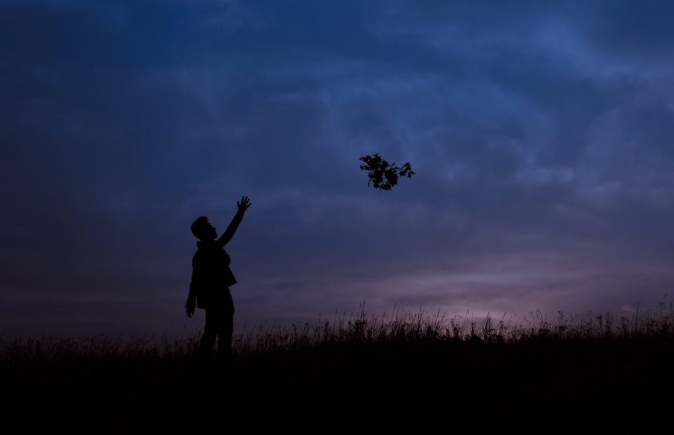 Man standing in a hay field at late sunset tossing a branch into the air