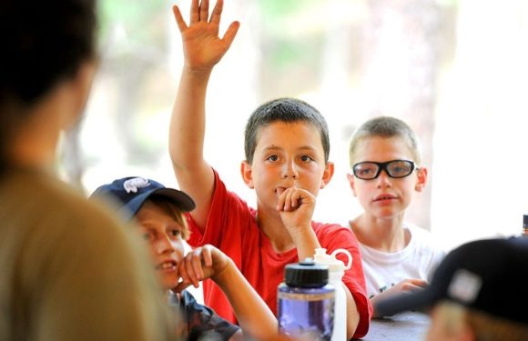 Child raising hand in class