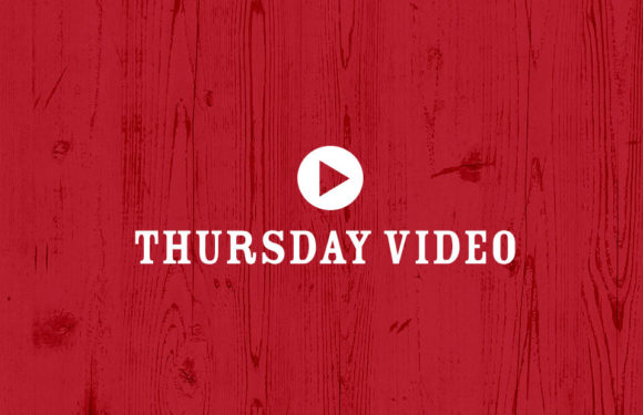 Thursday Video