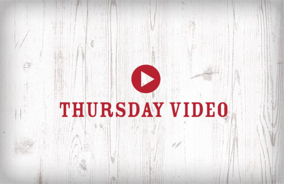 Thursday Video