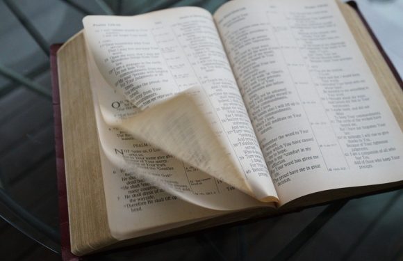 Open Bible book
