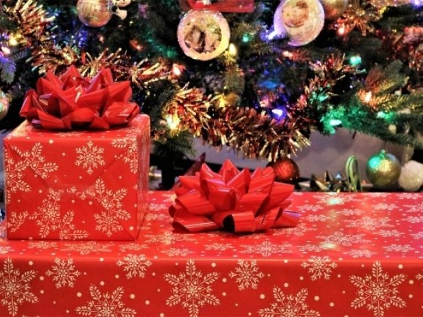 Christmas presents under decorated Christmas tree