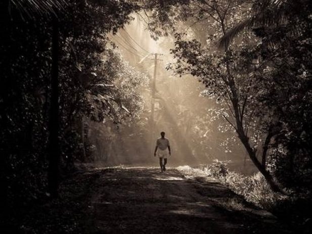 man walking in the woods