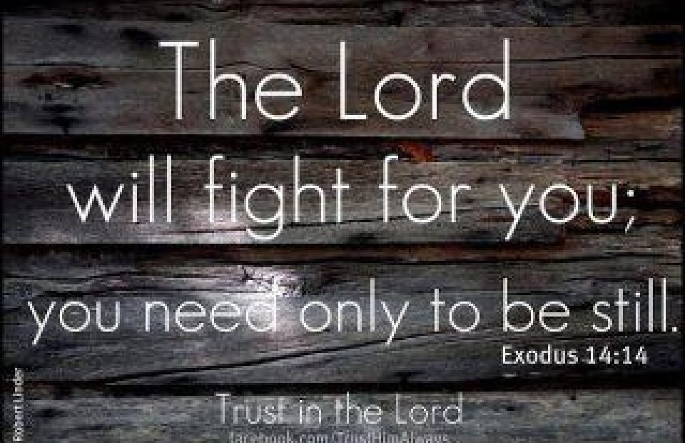 Exodus 14:14