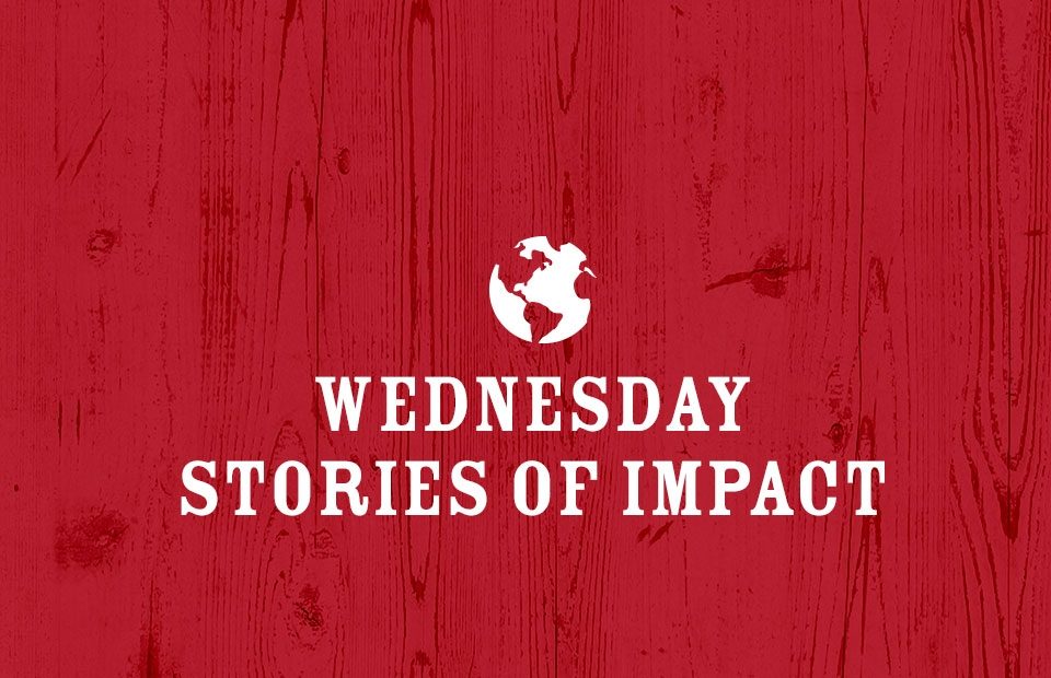 Wednesday Stories